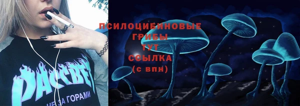 PSILOCYBIN Ладушкин