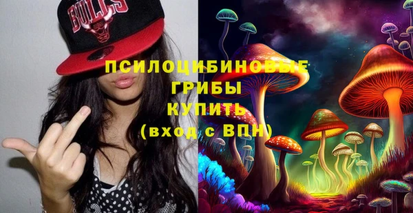 PSILOCYBIN Ладушкин