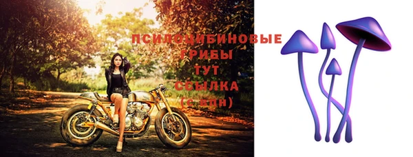 MDMA Лагань